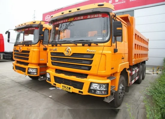 Shacman D'long F3000 Tête de camion de véhicule de camion lourd de tracteur