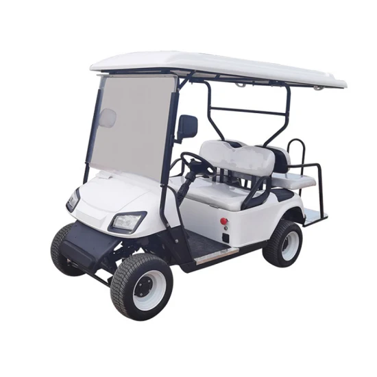 Véhicules électriques de chariot de golf de rue de voiturette de golf futée de Seat /4 Seat du transport 2 de famille