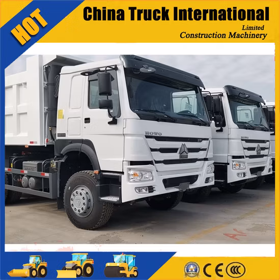 Sinotruk HOWO 6*4 371HP camion benne à usage intensif