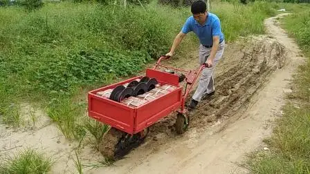 Véhicule de transport multifonctionnel - Voie unique de moteur à essence