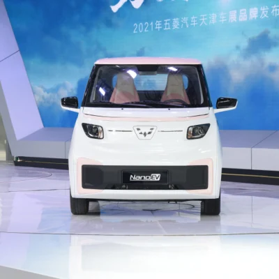 Fabriqué en Chine Véhicule électrique à énergie nouvelle bon marché Wuling Nano Zootopia Judy Édition spéciale Mini EV à vendre